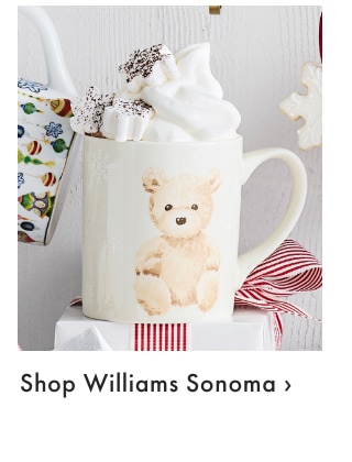 Williams Sonoma >