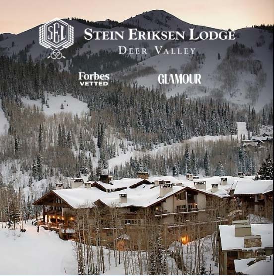 Collared V-Neck Dog Sweater Shirt