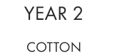 Year 2 - Cotton