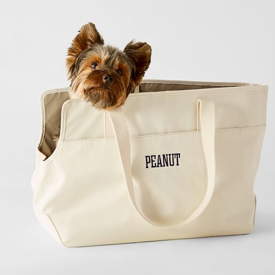 pet in a bag