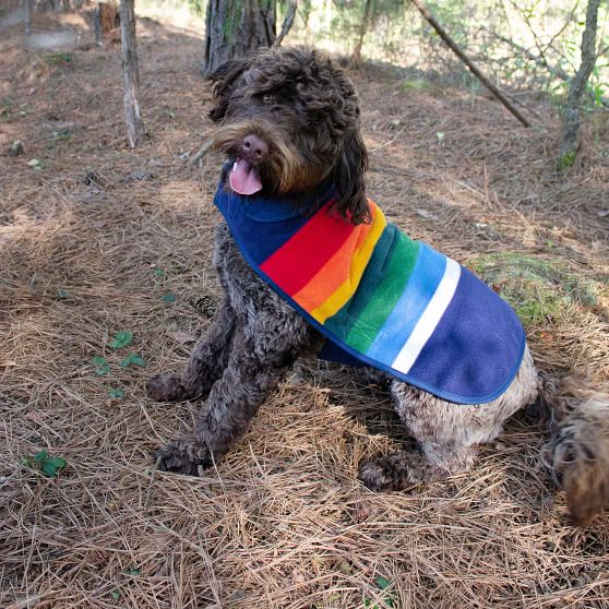 pendleton dog jacket