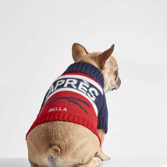 dog ski sweater