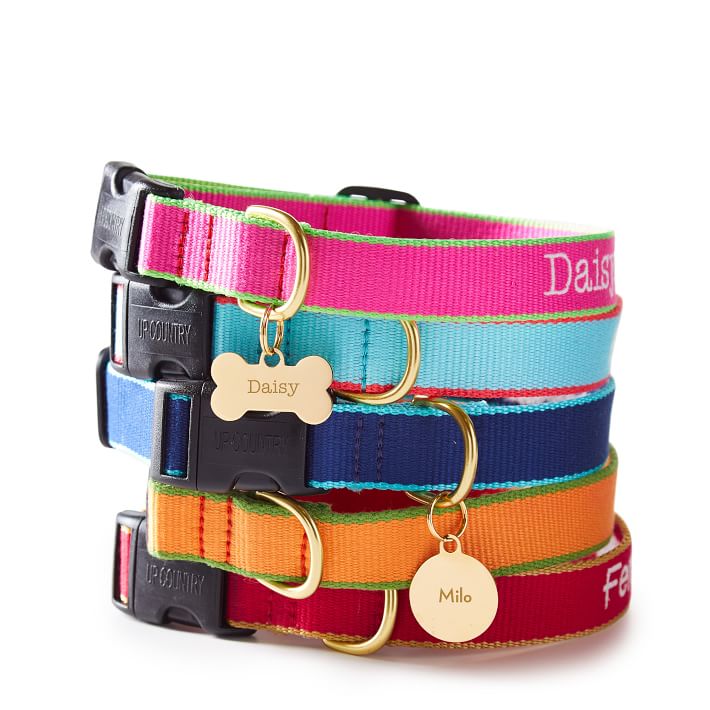 Green Market Personalized Pet Collar | Mark and Graham