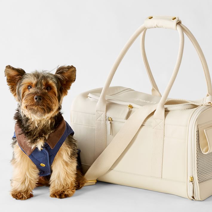 The Wild One Air Travel Dog Carrier Is Lightweight but Loaded With