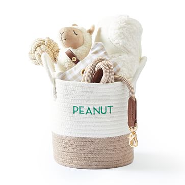 Welcome hot sale puppy basket