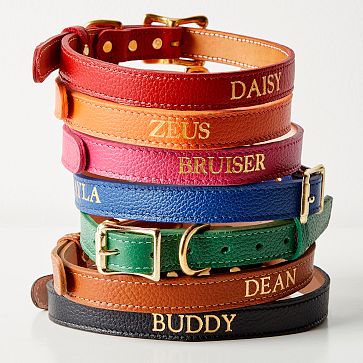 Personalized Leather Dog Collar Mark and Graham