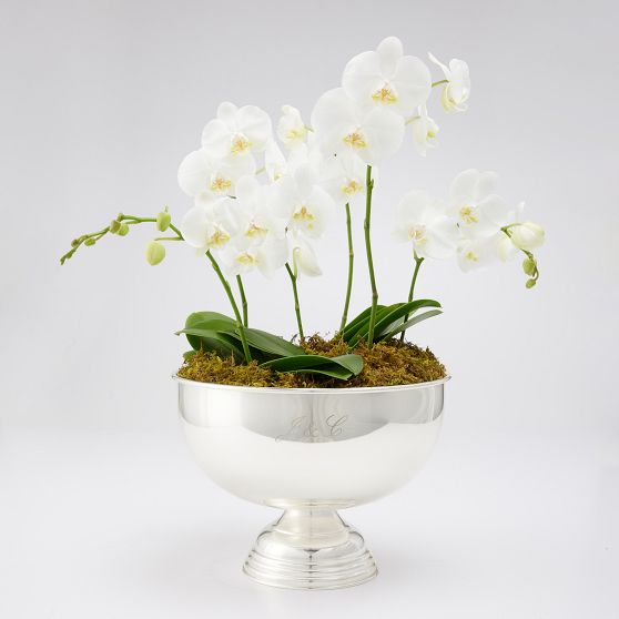 Celebration Wine Bowl-Medium