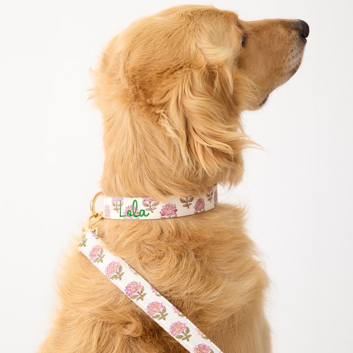 Block Print Dog Collar