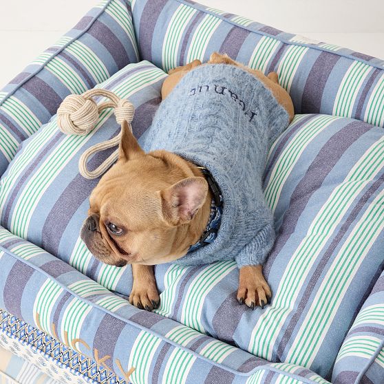 Chunky Cable Knit Dog Sweater