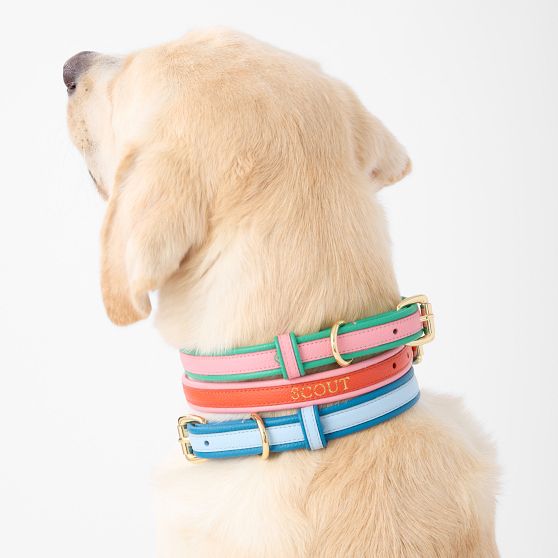 Handmade Leather and Fabric Combo Dog Collar and deals Leash - Size Extra Large - CXL02.