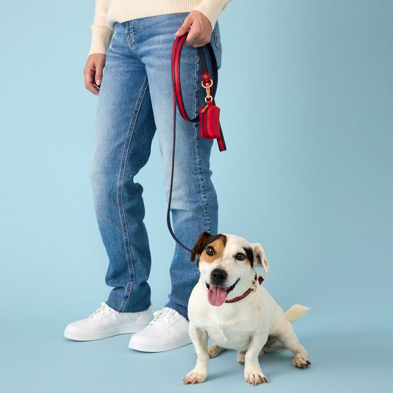 Two-Color Leather Dog Leash Set