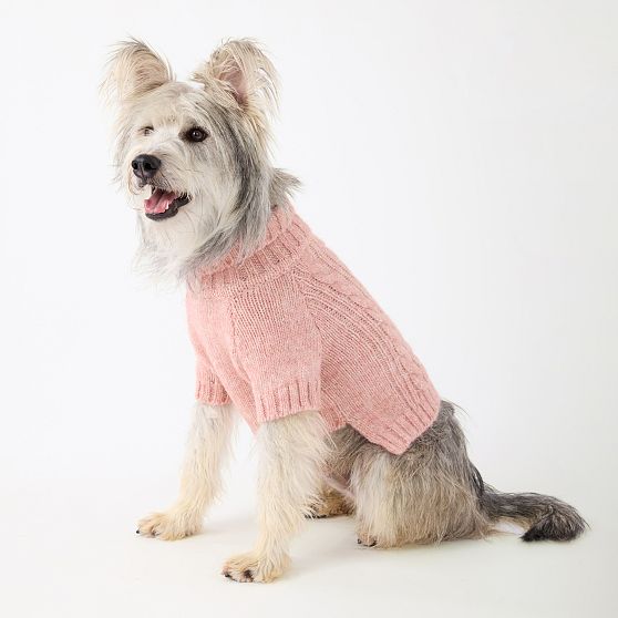 Chunky Cable Knit Dog Sweater