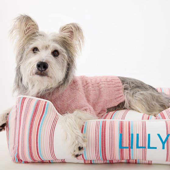 Chunky Cable Knit Dog Sweater