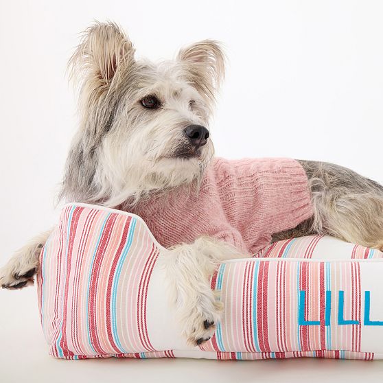 Chunky Cable Knit Dog Sweater