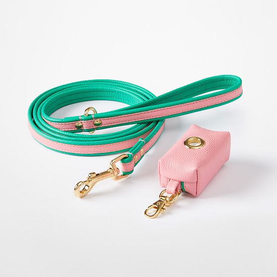 Two-Color Leather Dog Leash Set