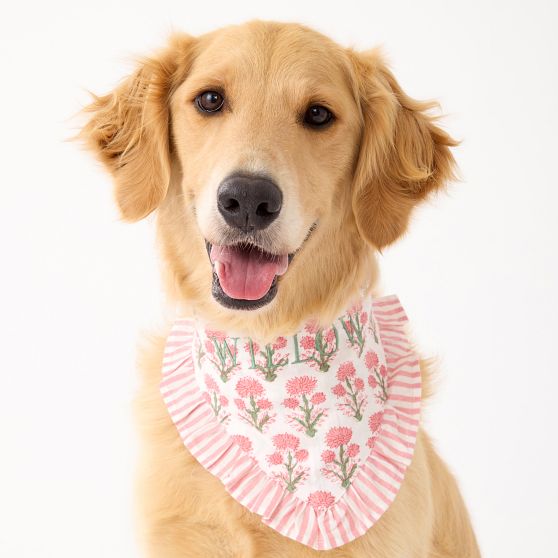 Ruffle Dog Bandana