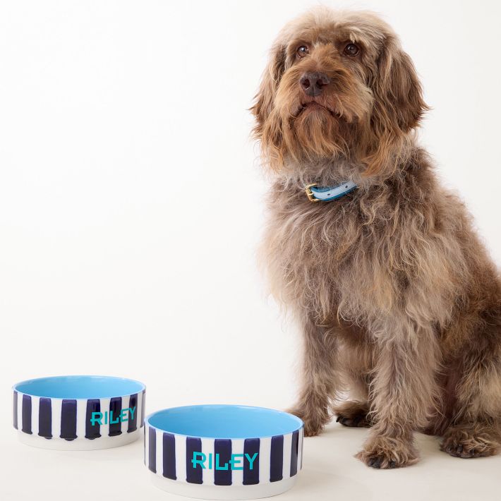 Striped Ceramic Pet Bowl