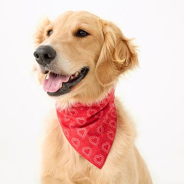 Patterned Dog Bandana