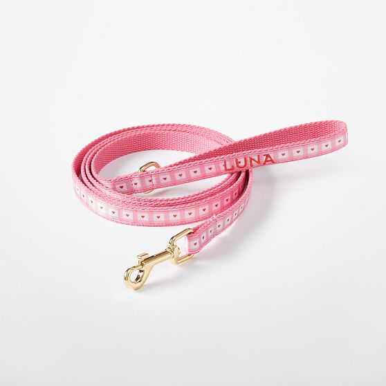 Ribbon Leash