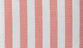 Pink-White Stripe