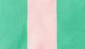 Rose Shadow-Green Stripe