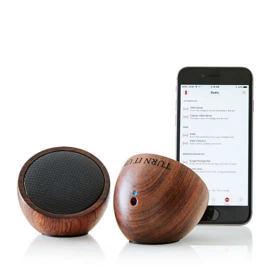 Bluboom Bluetooth Speaker