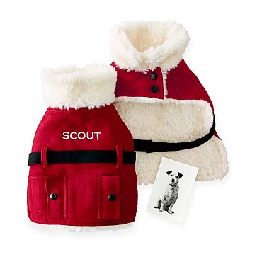 Dog Santa Costume