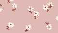 Pink Daisies