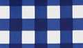 Navy Gingham
