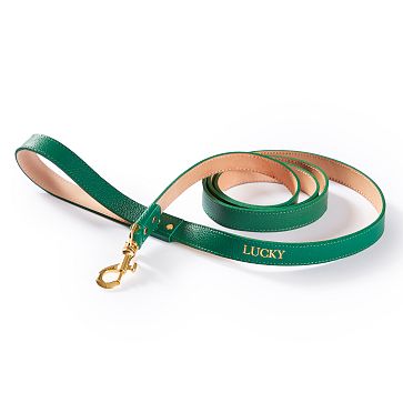 Leather Pet Leash, 6ft, Kelly Green