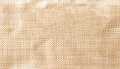 Natural Raffia