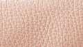 Blush Pebbled Leather