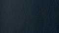 Navy-Kelly Green