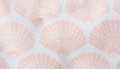 Pink Shell Print