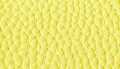 Blazing Yellow