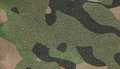 Green Camo