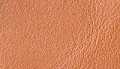 Camel-Red