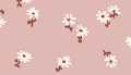 Pink Daisies
