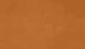 Camel-Red