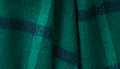 Gracie Alpine Green-Navy