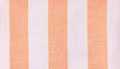 Pink-Coral-Yellow