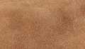 Cognac Suede