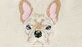 Frenchie