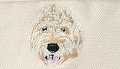 Golden Doodle