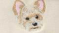 White Terrier