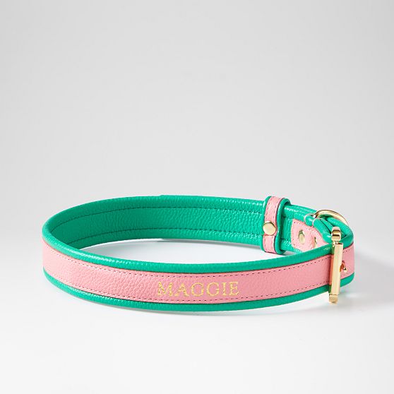 Two-Color Leather Dog Collar