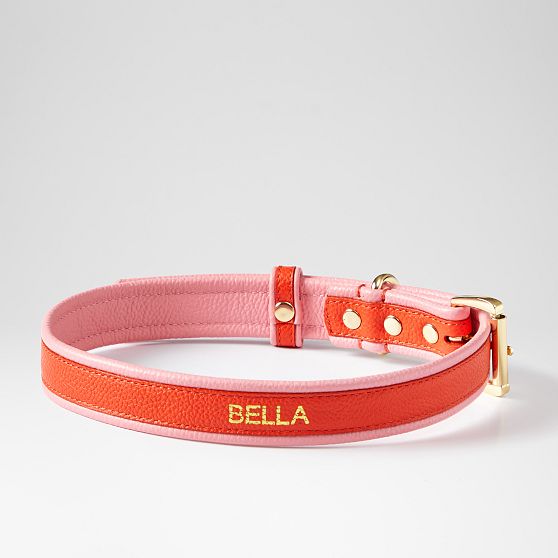 Two-Color Leather Dog Collar