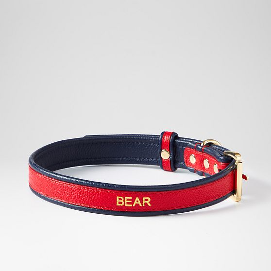 Two-Color Leather Dog Collar