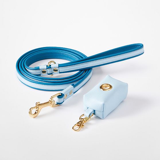 Two-Color Leather Dog Leash Set