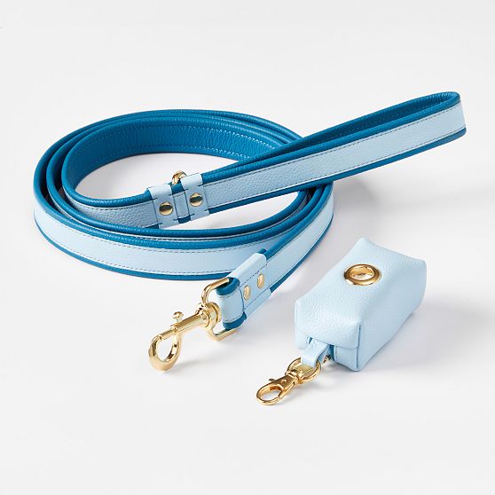 Two-Color Leather Dog Leash Set